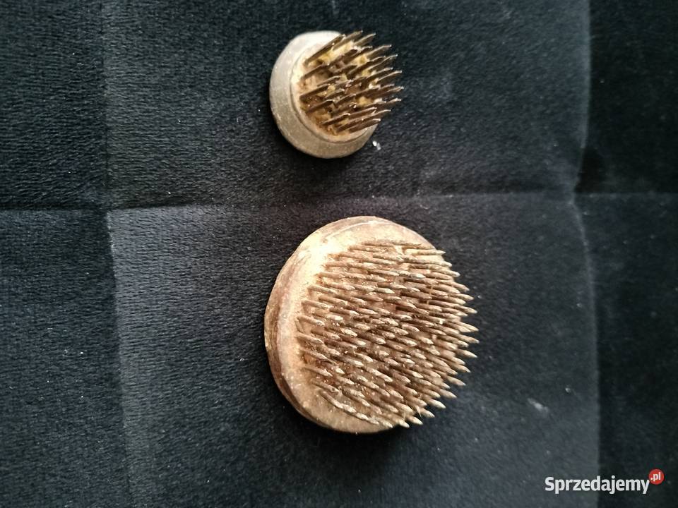 Kenzan metalowy jeżżaba florystykaikebany Choszczno