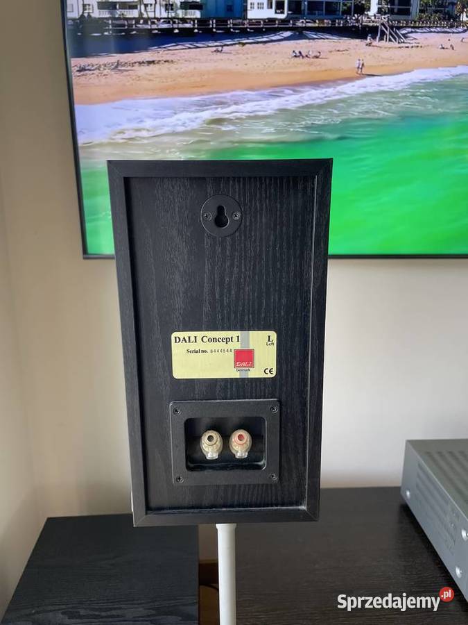 Kolumny podstawkowe Dali Concept 1 Radom