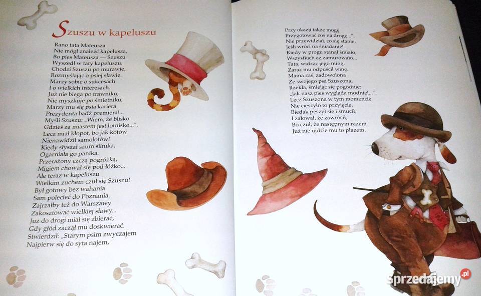 Kotka Trajkotka Zbigniew Dmitroca Chełm
