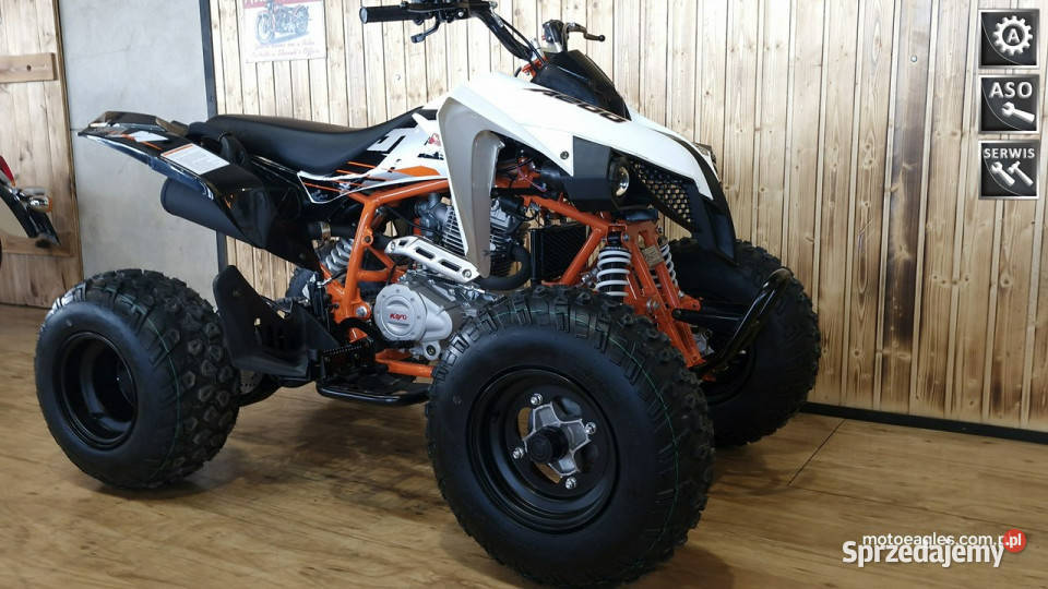 KAYO Inny SALON MOTOCYKLOWY MOTOEAGLES Kayo A Bicz