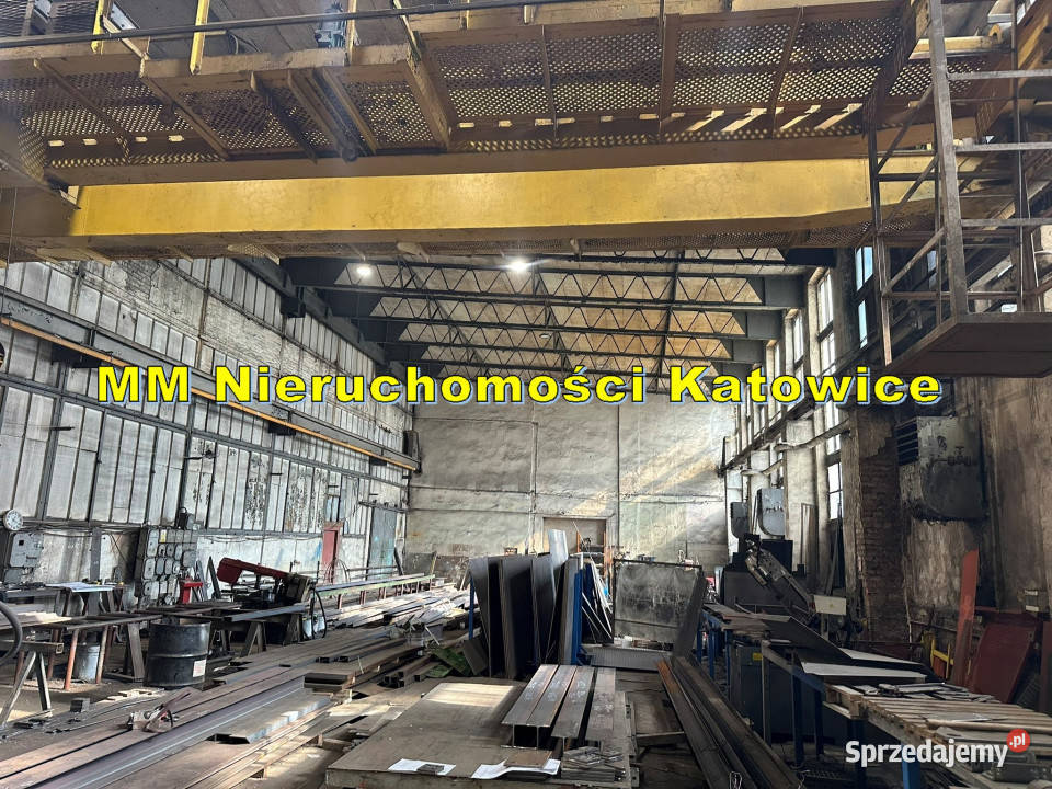 Hale produkcyjne z 2 suwnicami do wynajęcia Sosnowiec