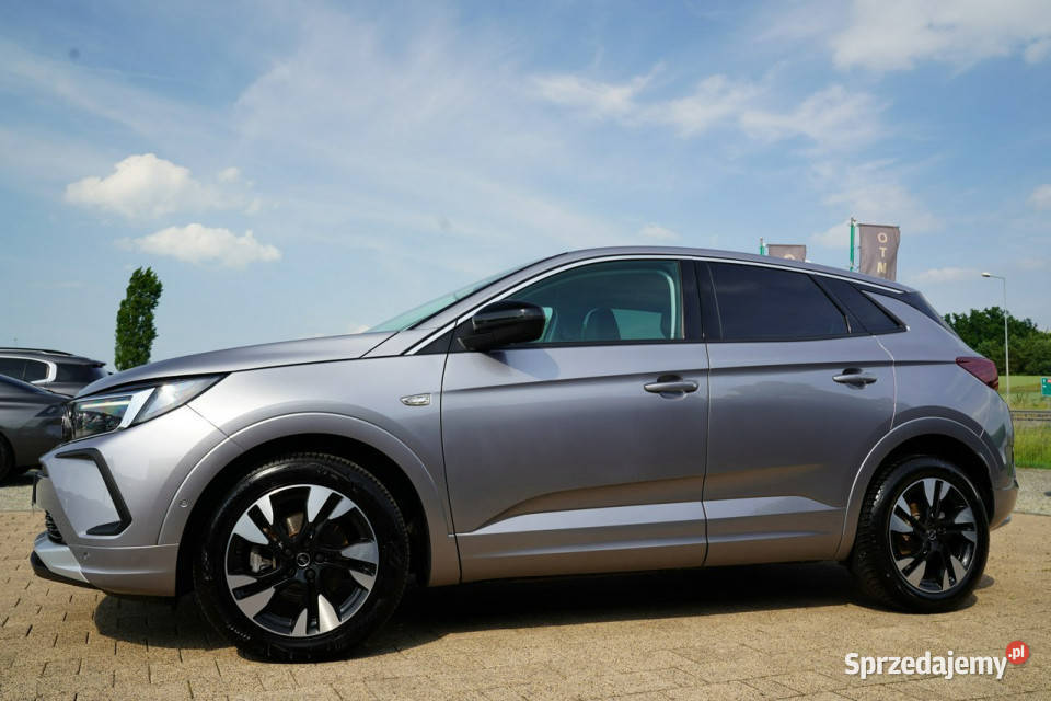 Opel Grandland X FUL LED skóra NAWI automat8 ogranicznik prędkości Otmuchów