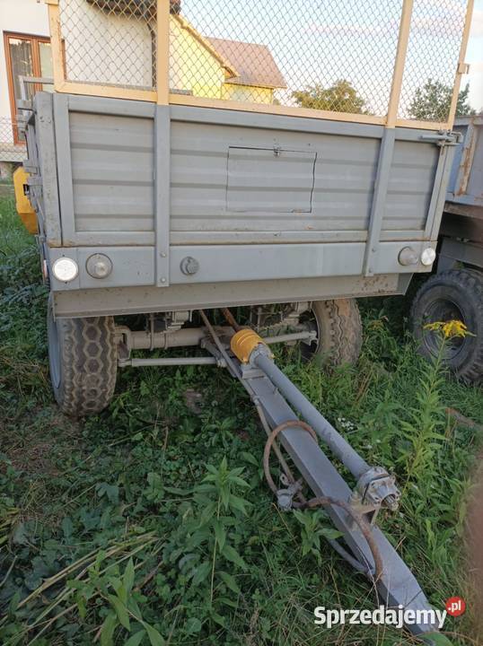 Rozrzutnik Pozostałe podkarpackie