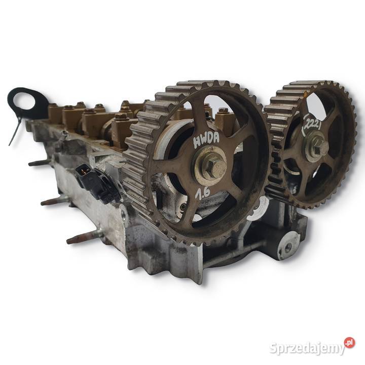 GŁOWICA CYLINDRÓW Ford Focus MK1 16 16V osobowe lubelskie