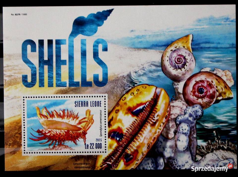 Sierra Leone muszle wielkopolskie Oborniki sprzedam