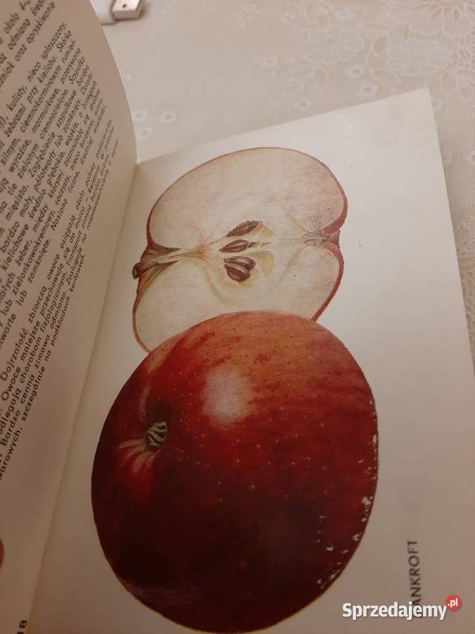Atlas jabłek 1979 r Stronie Śląskie