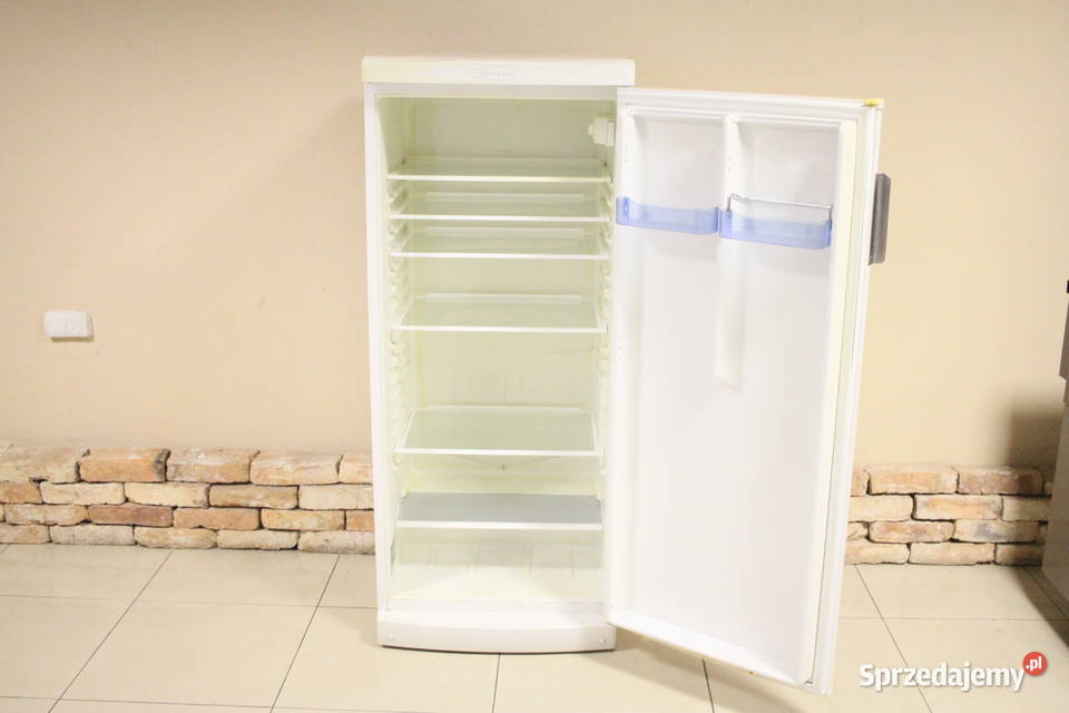Lodówka Gorenje R6298W Pszczyna
