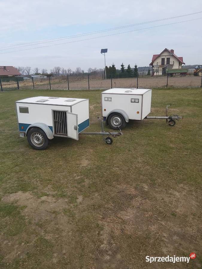 Przyczepa Przyczepka Samochodowa Lekka do Syców