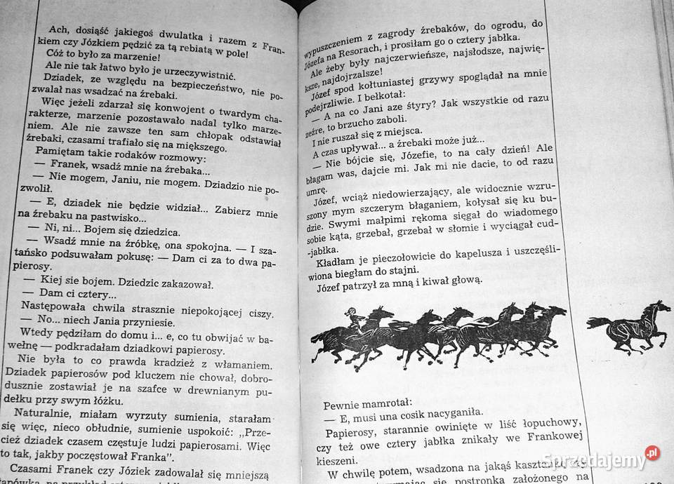 I w sto koni nie dogoni Janina Porazińska Chełm