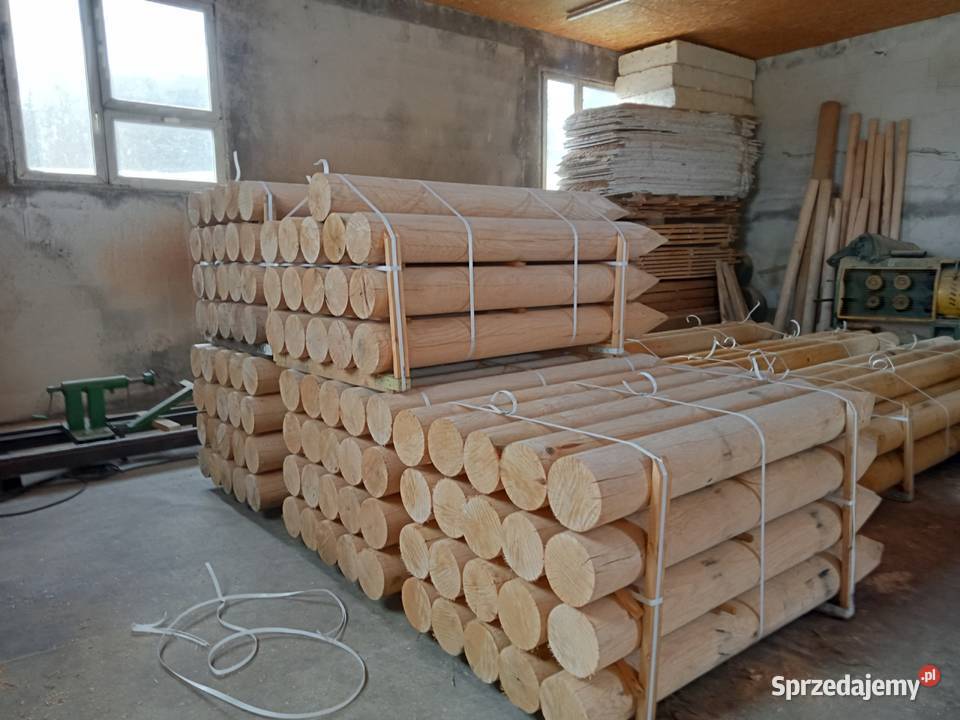 Palisada debowa podlaskie Sokółka