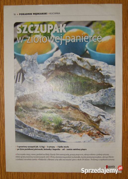 Poradnik wędkarski złowić rybę życia Szczupak 16 Parczew