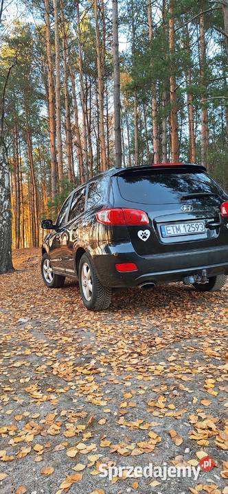 Hyundai Santa Fe II Santa Fe łódzkie Tomaszów Mazowiecki
