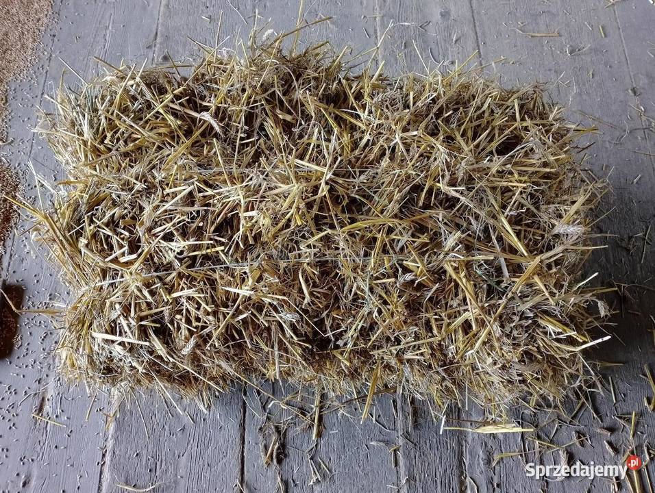 Słoma w kostkach 2024 małopolskie Klecza Dolna