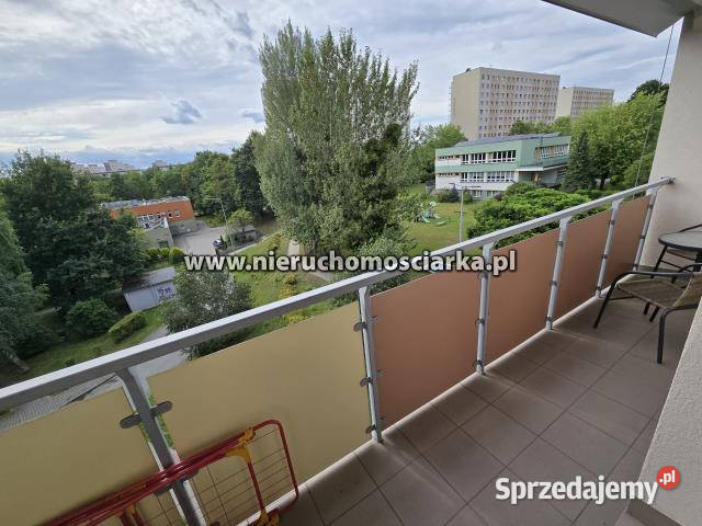 sprzedaży mieszkania JastrzębieZdrój 63m2 4 Jastrzębie-Zdrój