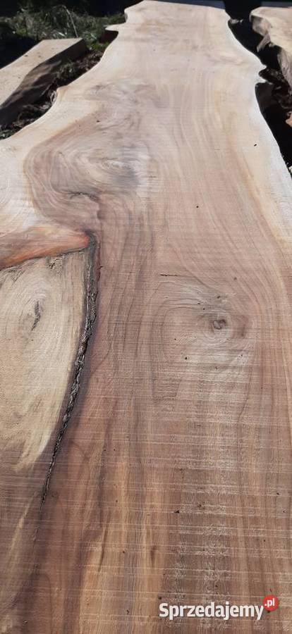 Wiąz deski bale brusy wiązu Rzeszów