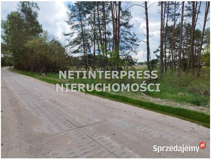 Działka Drezdenko 71795 metrów lubuskie