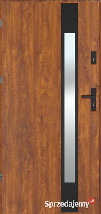 Producent drzwi model THERMO GETYNGA NERO Częstochowa