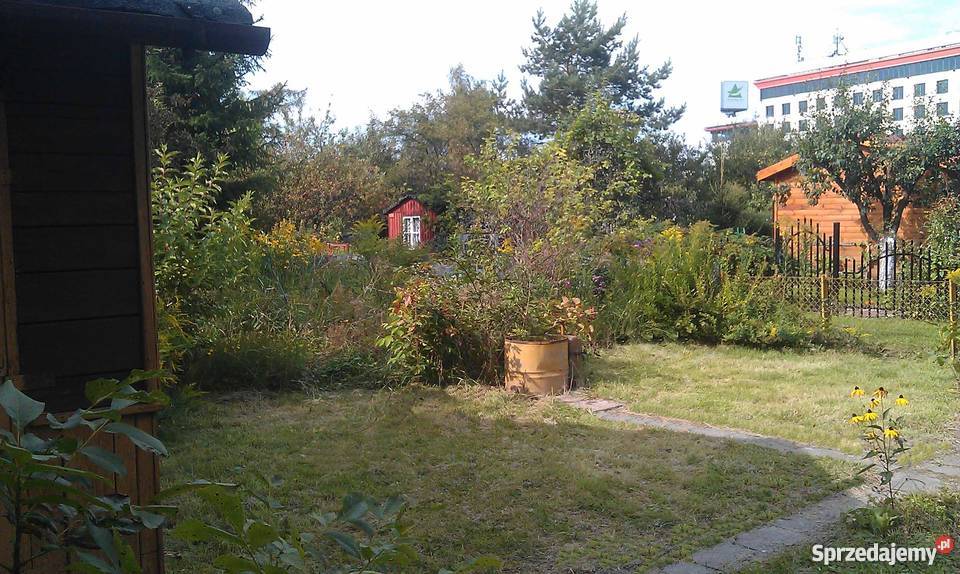 Działak rekreacyjna ROD Fort Szczęśliwice 230 m2 Warszawa