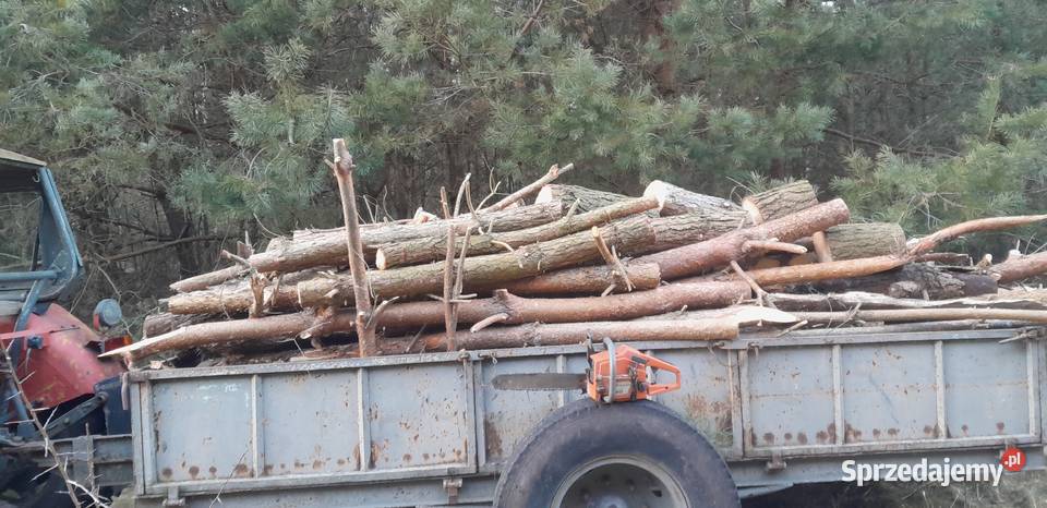 Drewno opalowe świętokrzyskie Wygoda