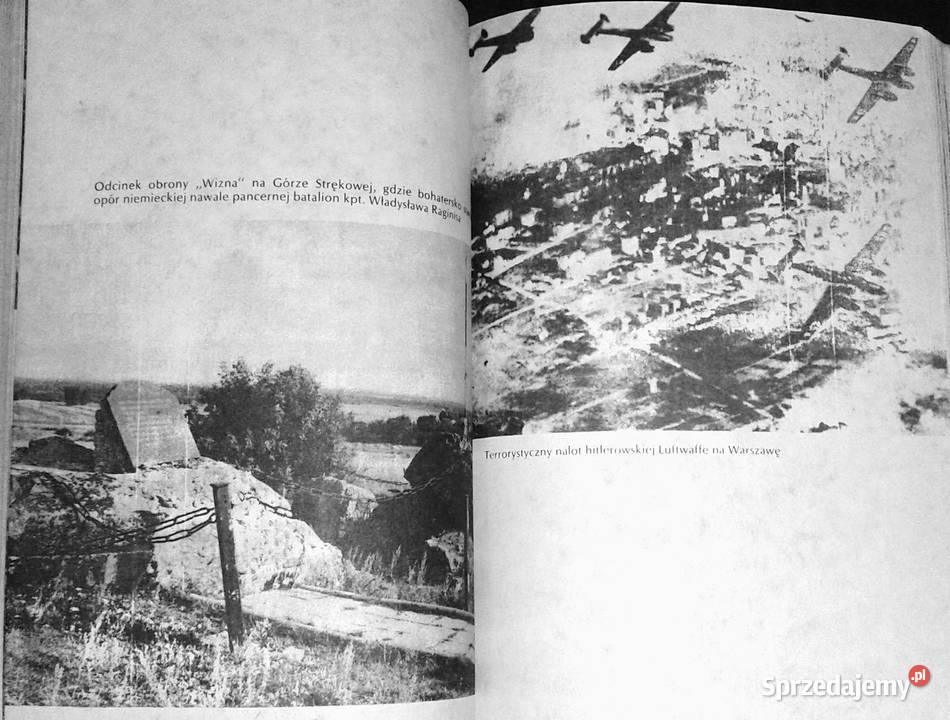 Walka i zwycięstwo Wkład narodu polskiego