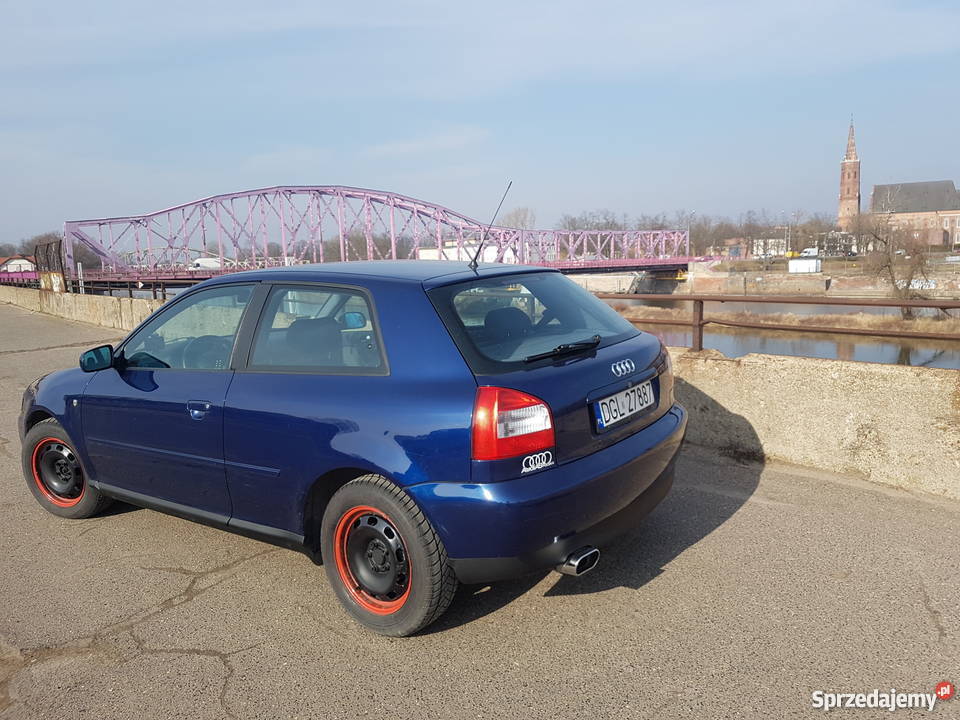 Audi A3 8l 18 125 Ambition Alcantara Cliamtronic A3 Głogów