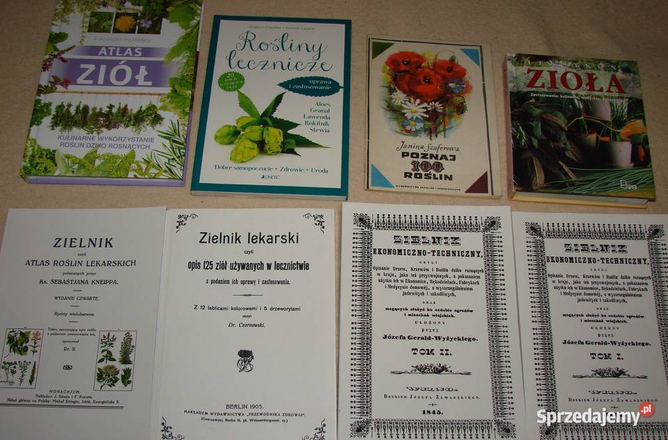 Atlasy ziół i roślin leczniczych książki Radom
