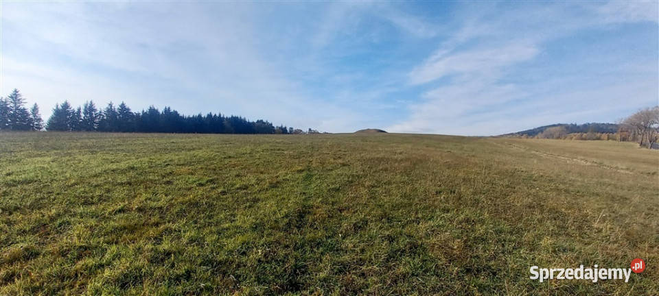 Widokowa działka Zagórze Śląskie