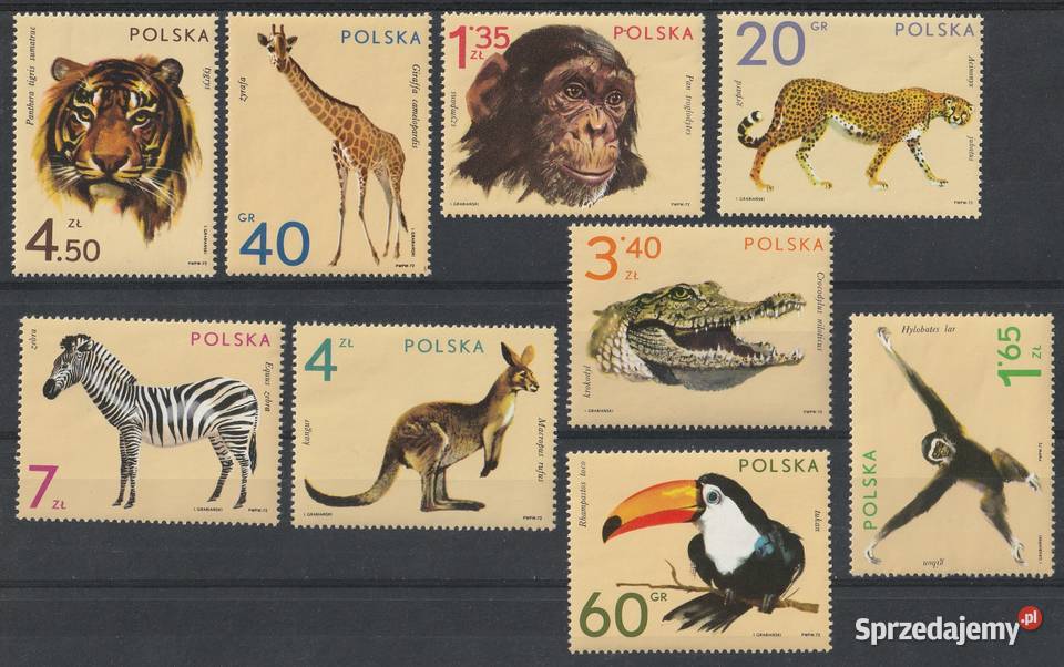 POLSKA ZWIERZĘTA ZOO 1972 CZYSTE Łódź