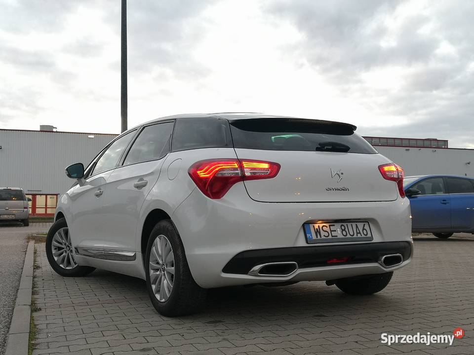 Citron DS5 16 Blue HDI 120 Zarejestrowany diesel Smyków