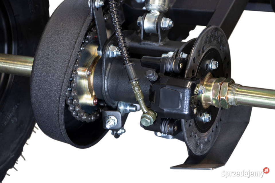 WARRIOR DUŻY Quad Elektryczny 8 48V 1000W Lublin