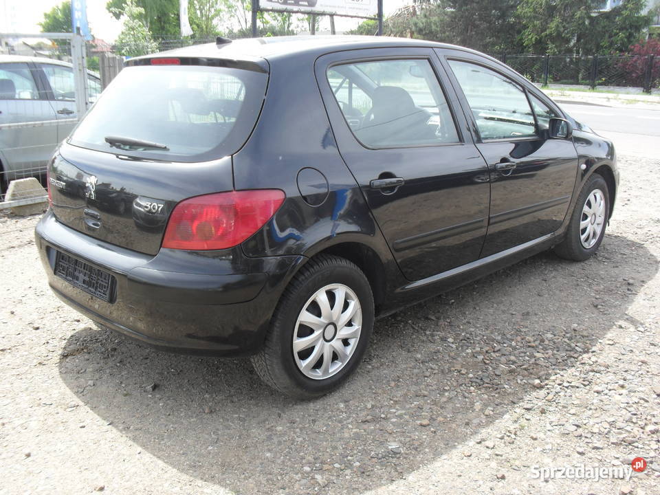 Peugeot 1616V KLIMA ELEKTRYKA immobilizer 307 Kutno sprzedam