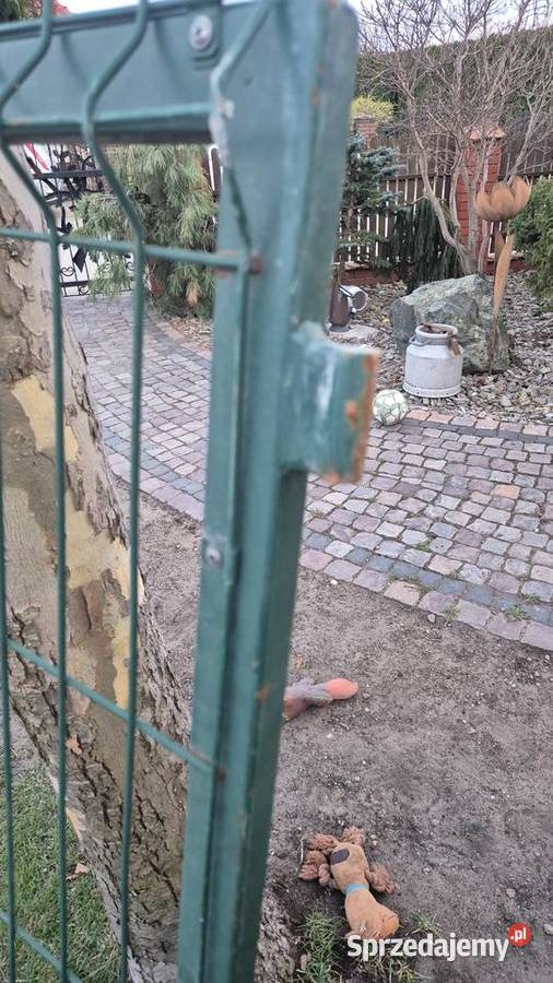 Furtka podlaskie Hryniewicze