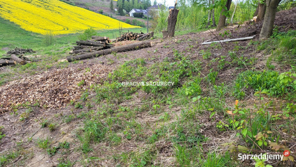 Grunt 3642m2 Michałowice Koźlica