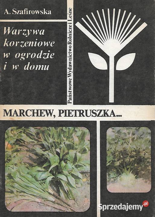 Marchew pietruszka A Szafirowska sprzedam
