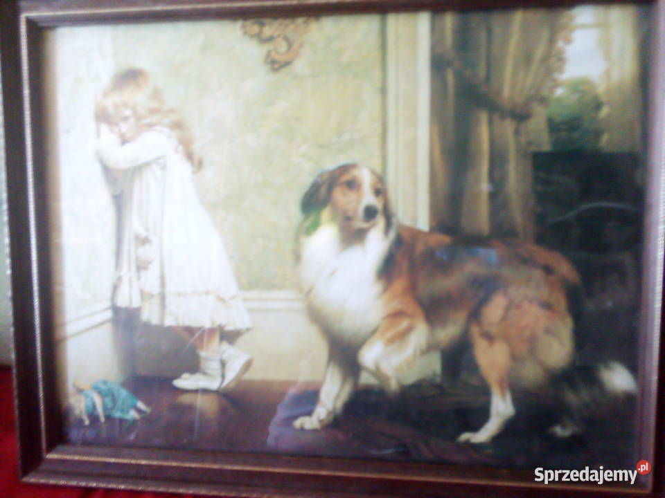 Obrazy różne mazowieckie Warszawa