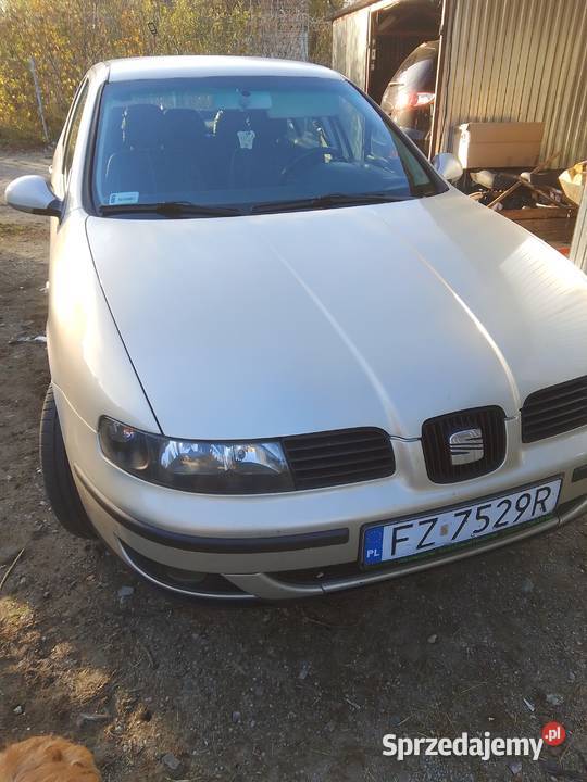 Seat leon Seat lubuskie Zielona Góra