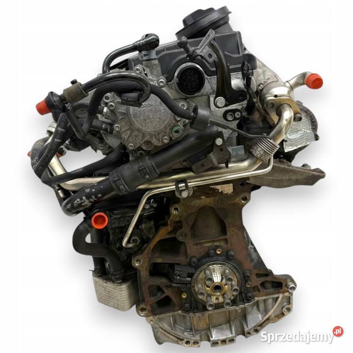 SILNIK BRE Audi A4 B7 A6 C6 20 TDI 140 diesel lubelskie Chełm