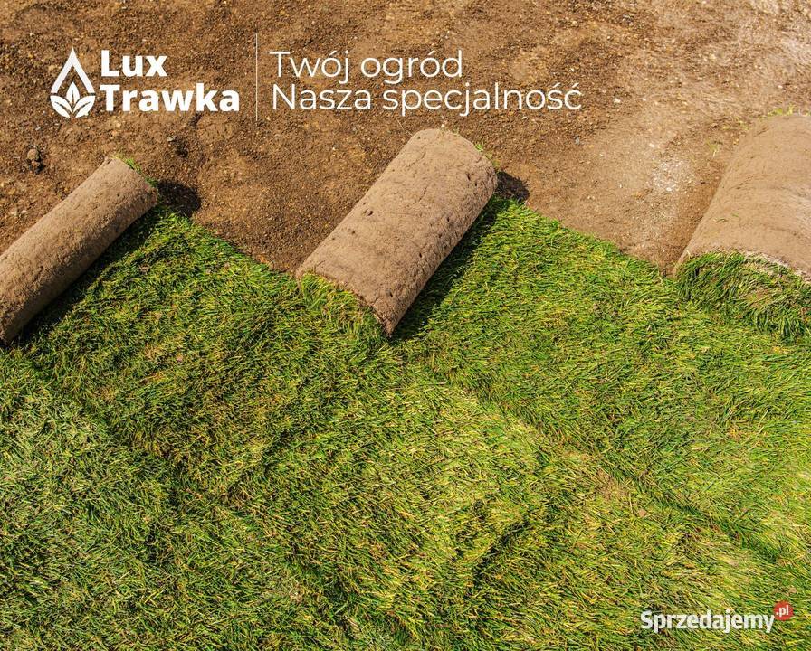Trawa w rolce Trawa z rolki Dostawa na terenie Zakopane
