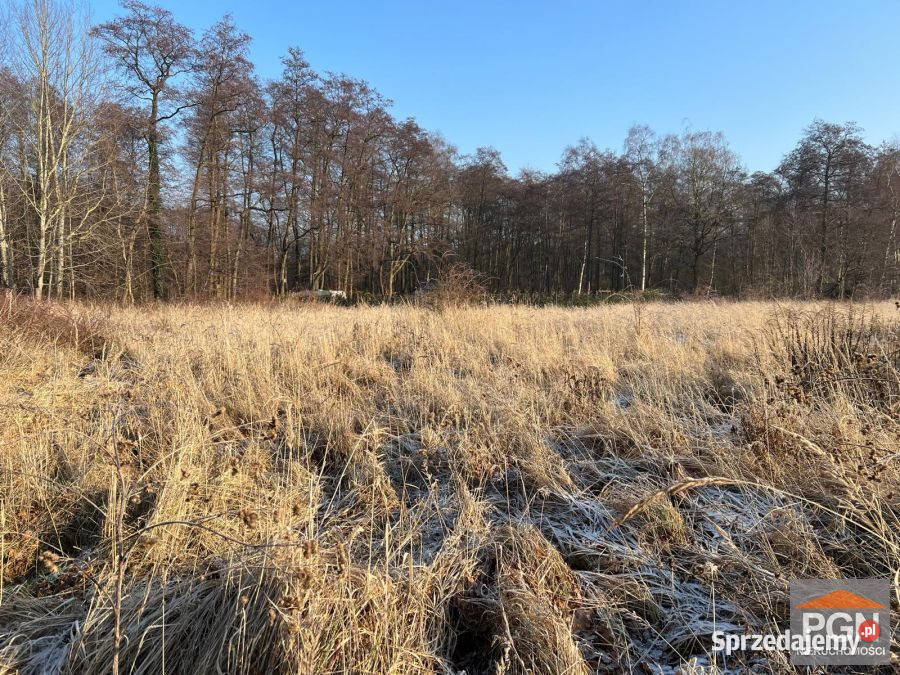 Działka 3001m2 Kamień Pomorski 45m zachodniopomorskie sprzedam