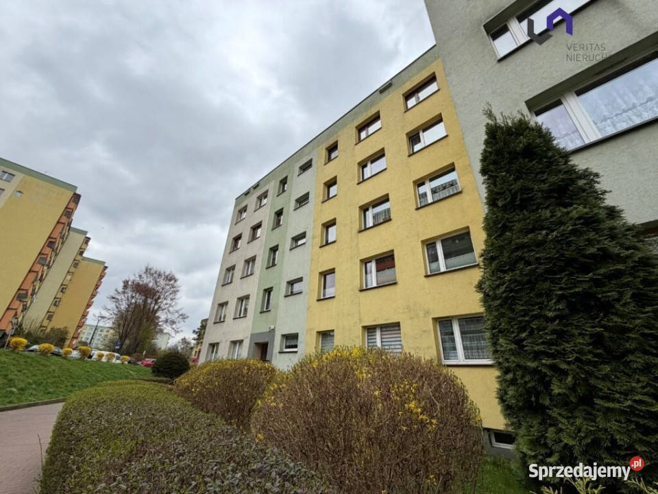 Mieszkanie Sosnowiec 60m2