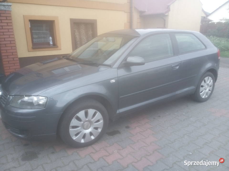 Ladne Audi A3 8p 1 6fsi Anglik 2005r Siedlce Sprzedajemy Pl