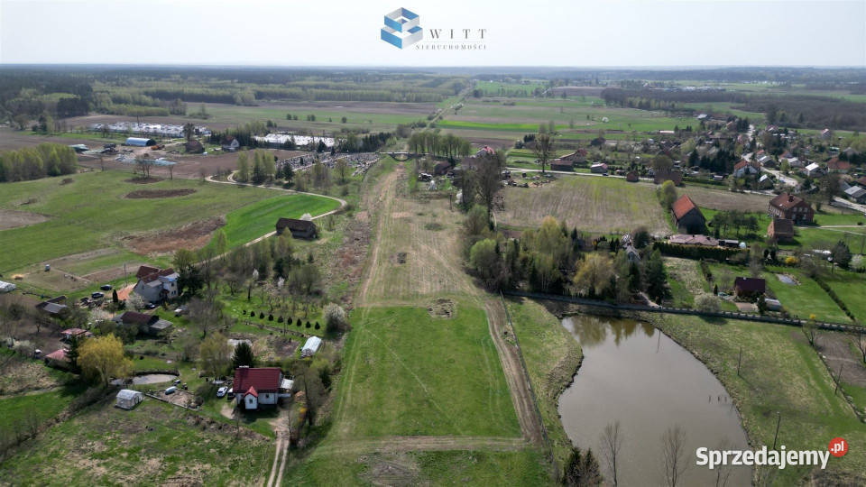 Działka Słonecznik 3154 metry 22zł/m2