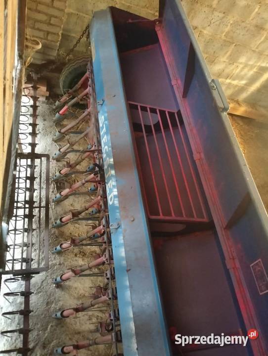 Siewnik zbożowy StegstedSTN 3m Zbuczyn sprzedam