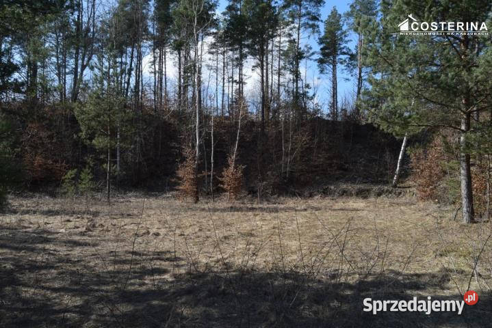 Sprzedam działka Parchowo 1312m2 167zł/m2