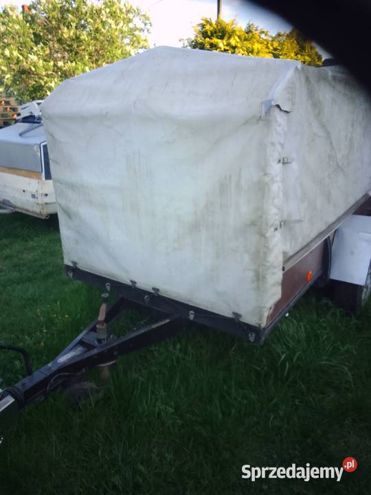 Sam 800 Strzelce Krajeńskie