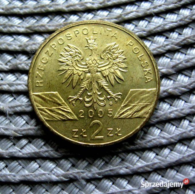 Polska 2 GN 2005r Puchacz Ładna Numizmatyka Kalisz sprzedam