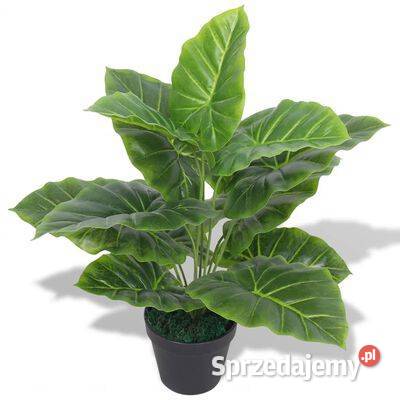 Sztuczna kolokazja jadalna taro z doniczką 45 Warszawa