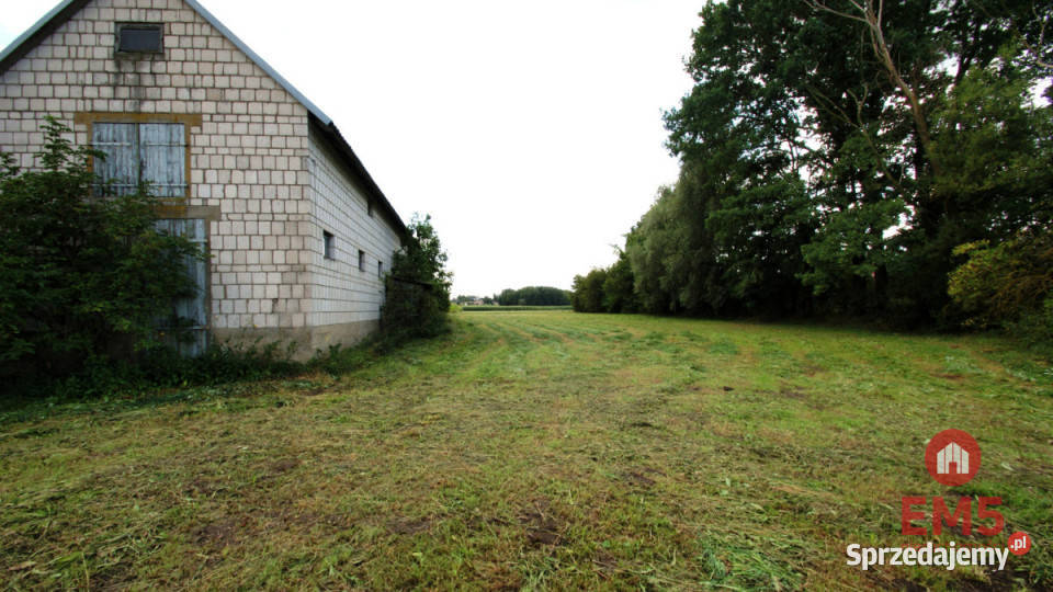 Lokal Jeńki 150m2