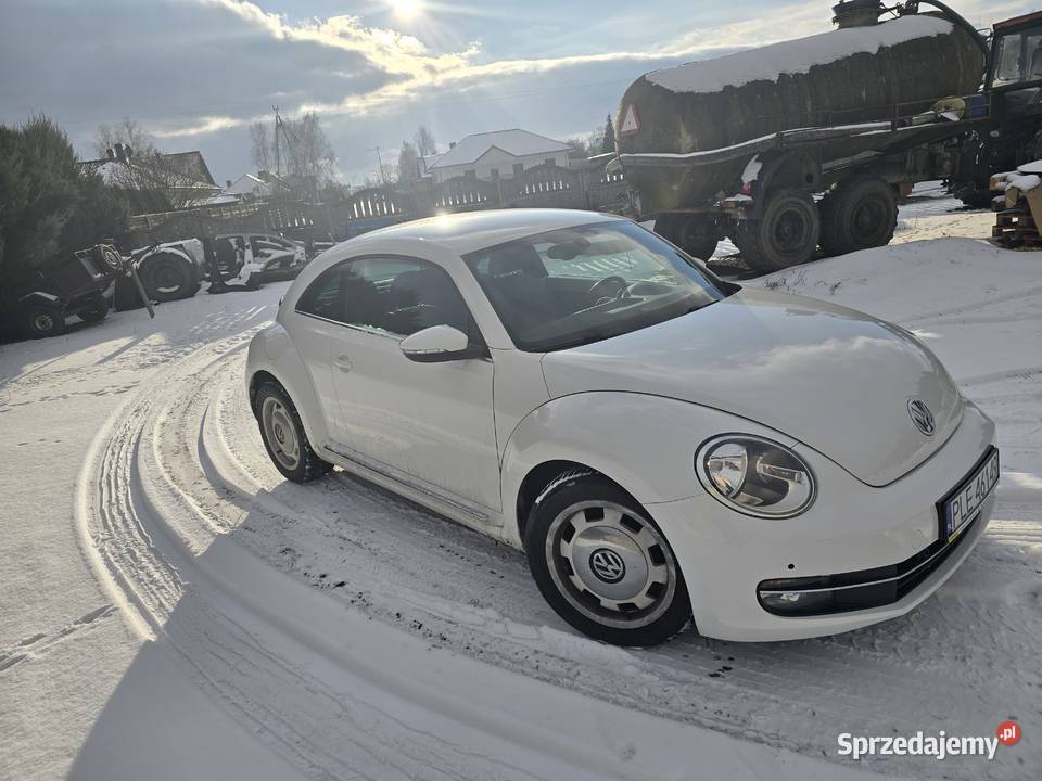 Vw beetle 5c wielkopolskie Lipno