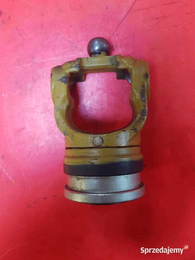 Widłak przegubu szerokokątnego lubuskie Sulechów